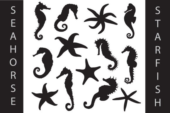 Download Seahorses &amp; Starfish Silhouette - Fish Collection