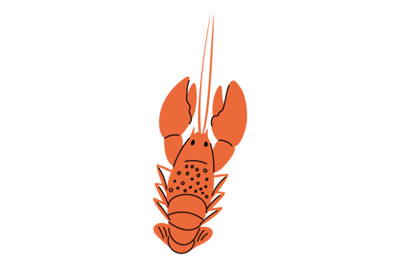 Download Sea or River Crayfish. Aquatic Animal. S - Fish Collection