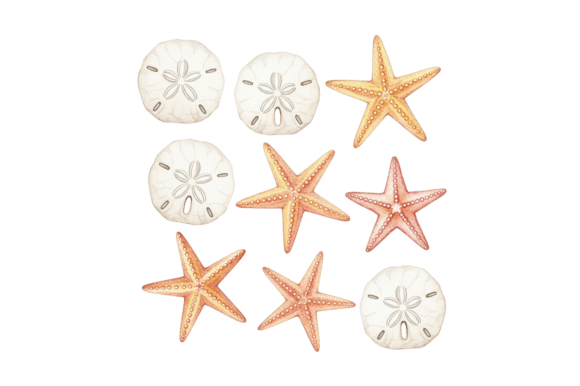 Download Sand Dollar and Starfish Ocean Artwork - Fish Collection