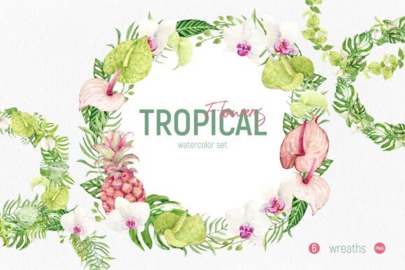 Download Tropical Flowers Set. Wreaths - Wreaths Collection