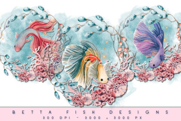Download Betta Fish Aquatic Wreath PNG Designs - Fish Collection