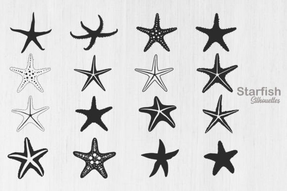 Download Starfish Silhouette, Starfish Icon - Fish Collection